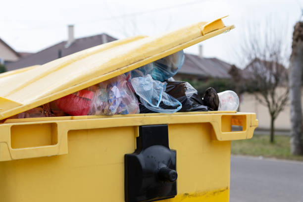 Best Attic Cleanout  in Somonauk, IL